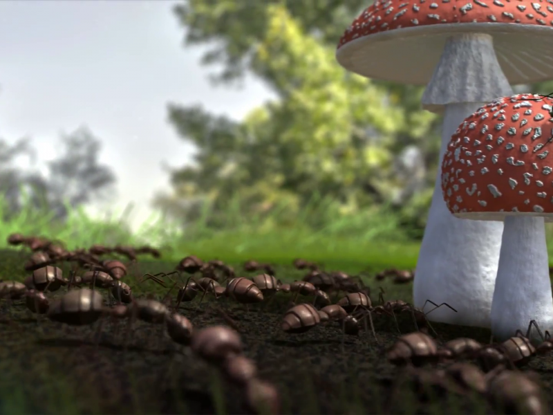 ANIMATION & VISUAL EFFECTS